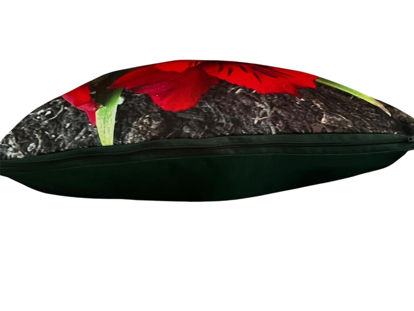 Cardinal Red Alstromeria flower